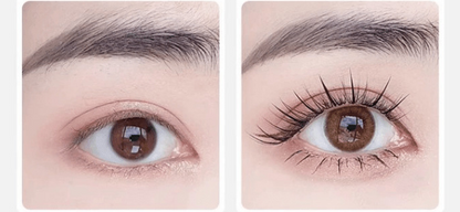 Magnet Chic Natural Lashes - Reusable