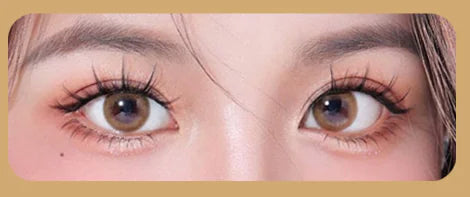 Magnet Chic Natural Lashes - Reusable